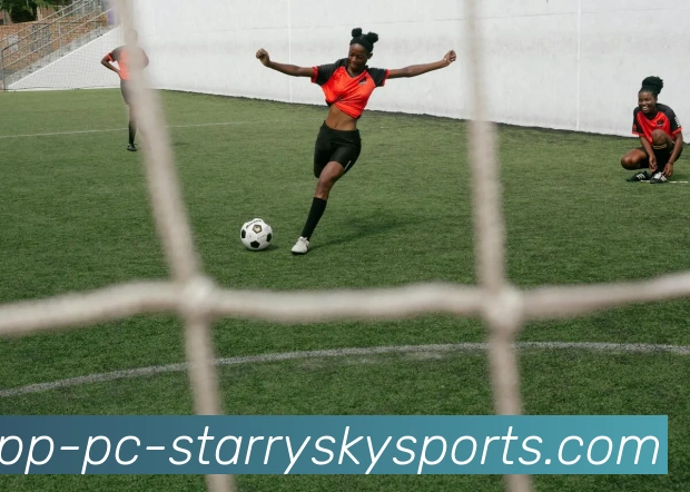 星空体育平台生态图