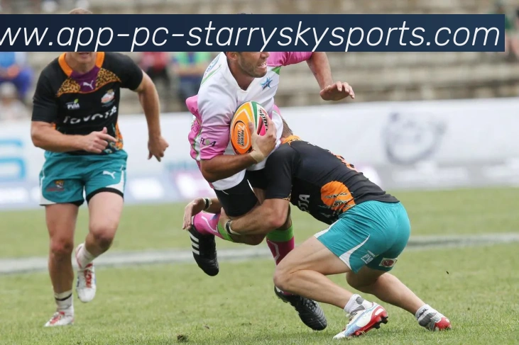 星空体育全站App 星空体育全站App